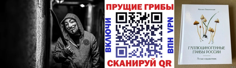 блэк спрут ССЫЛКА  Лукоянов  Галлюциногенные грибы мухоморы 